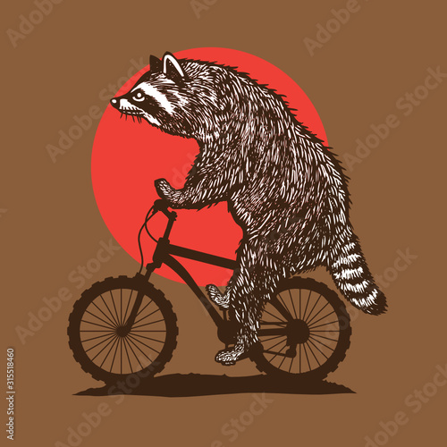 Racoon Riding Bike