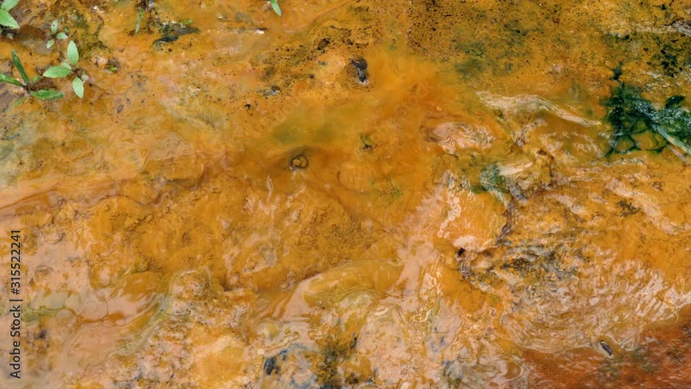 Iron bacteria growing in a stream. These derive their