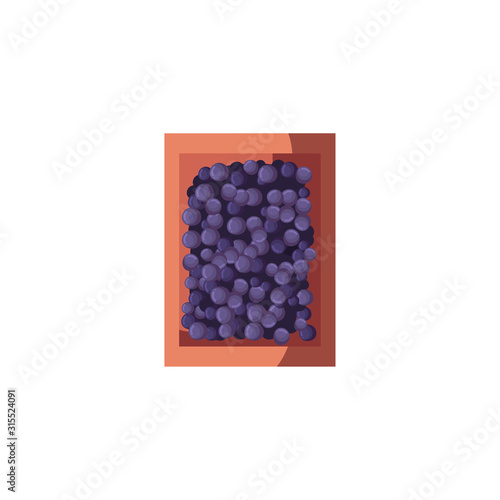 Isolated grapes fruit inside box vector design