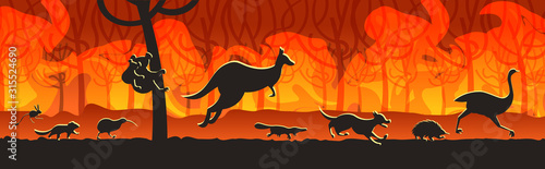 australian animals silhouettes running from forest fires in australia wildfire bushfire burning trees natural disaster concept intense orange flames horizontal vector illustration