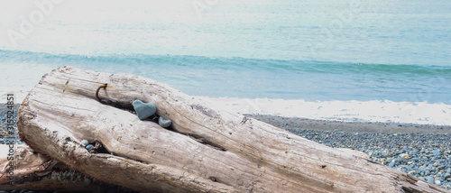 My Heart is in the Pacific