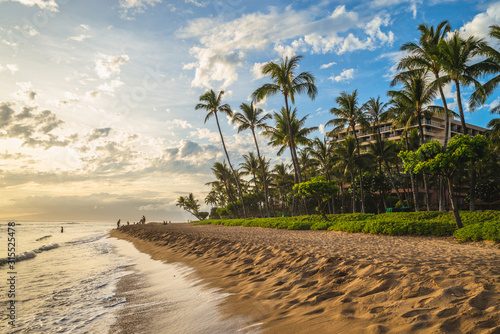Fotografie, Obraz scenery at kaanapali beach in maui island, hawaii