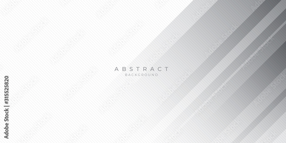 White Grey Silver Box Rectangle Abstract Background Vector Presentation Design White Grey Silver Box Rectangle Abstract Background Vector Presentation Design