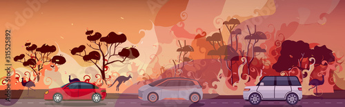 cars and animals escaping from forest fires in australia wildfire bushfire burning trees natural disaster evacuation concept intense orange flames horizontal vector illustration