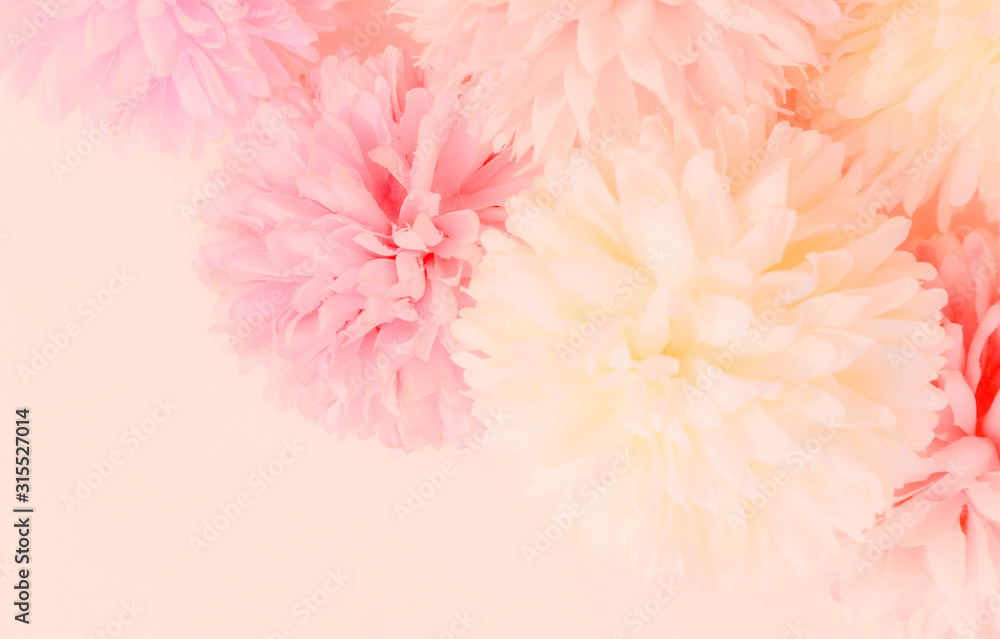 Beautiful abstract color orange purple and pink flowers on white background and white flower frame and pink leaves texture, light pink background, colorful banner happy valentine.
