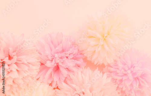 Beautiful abstract color orange purple and pink flowers on white background and white flower frame and pink leaves texture, light pink background, colorful banner happy valentine.