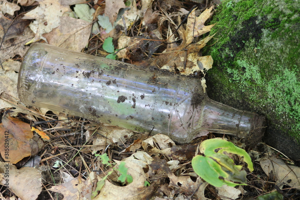 Fototapeta premium Empty Bottle in the Woods