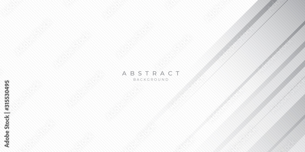 White Grey Silver Box Rectangle Abstract Background Vector Presentation Design White Grey Silver Box Rectangle Abstract Background Vector Presentation Design