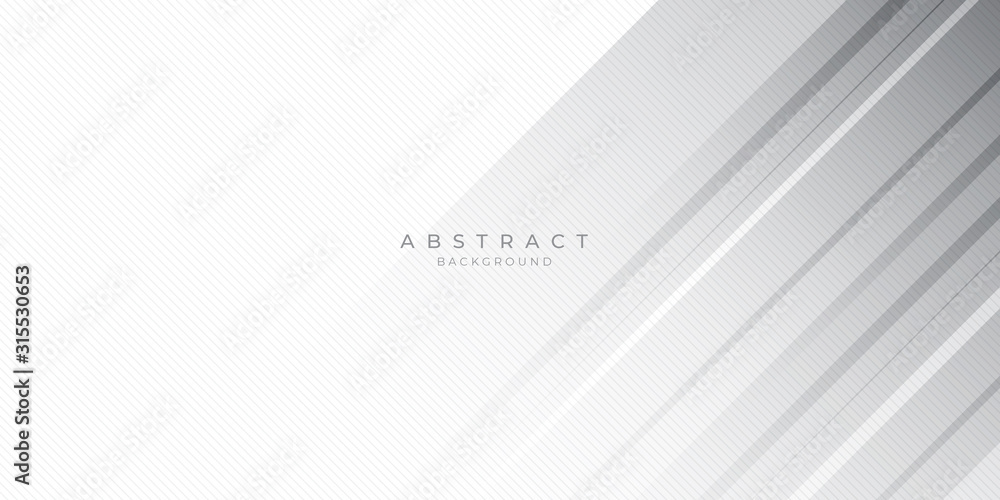 White Grey Silver Box Rectangle Abstract Background Vector Presentation Design White Grey Silver Box Rectangle Abstract Background Vector Presentation Design