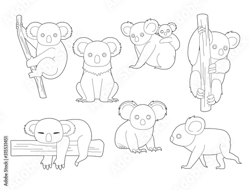 Photography Koala Black and White Coloring Cartoon Vector Illustration
