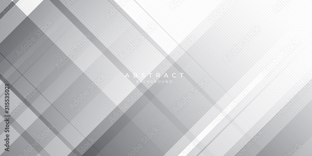White Grey Silver Box Rectangle Abstract Background Vector Presentation Design White Grey Silver Box Rectangle Abstract Background Vector Presentation Design