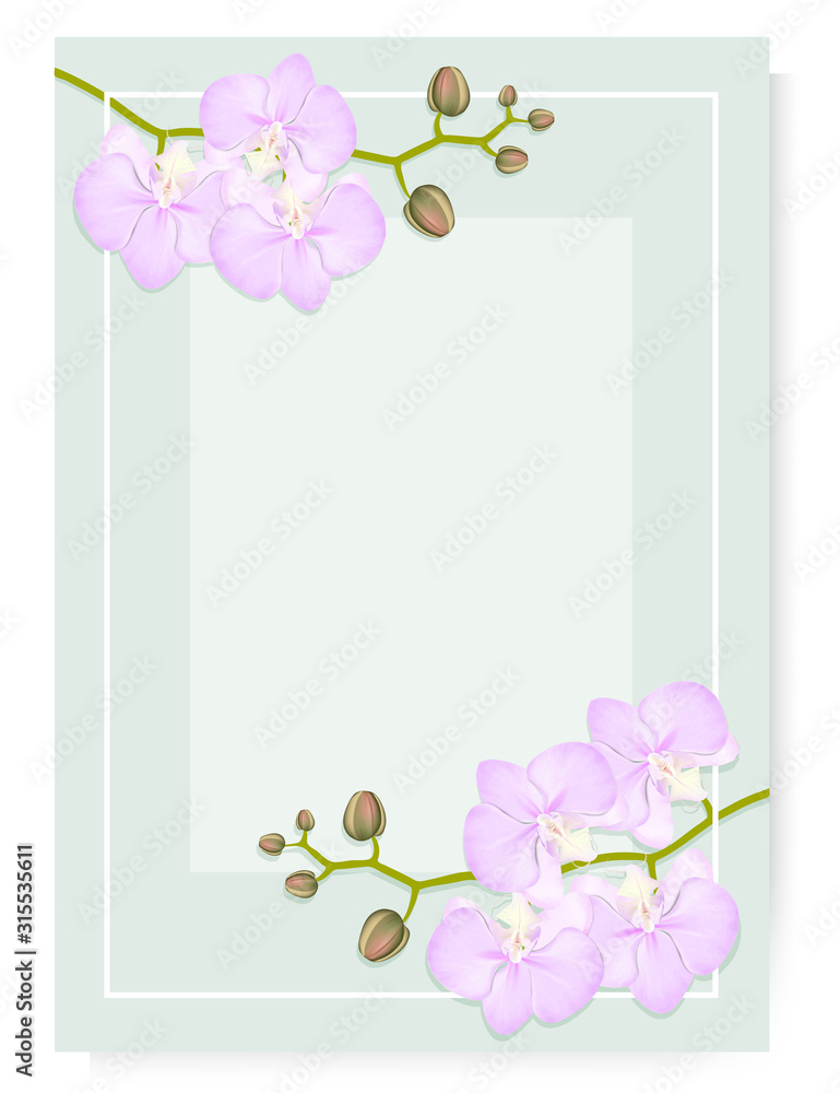 Greeting card frame with sprigs of orchids