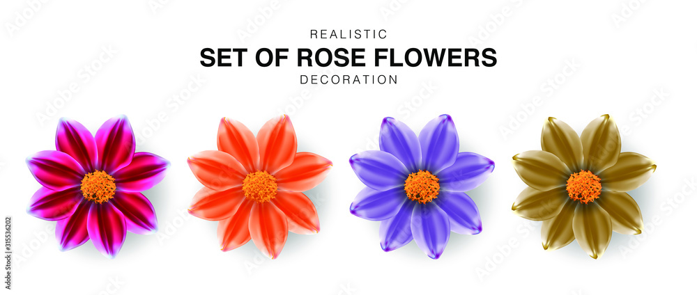 Realistic set of rose flowers decoration. Isolated vector illustration. Roses 3d Multicolored