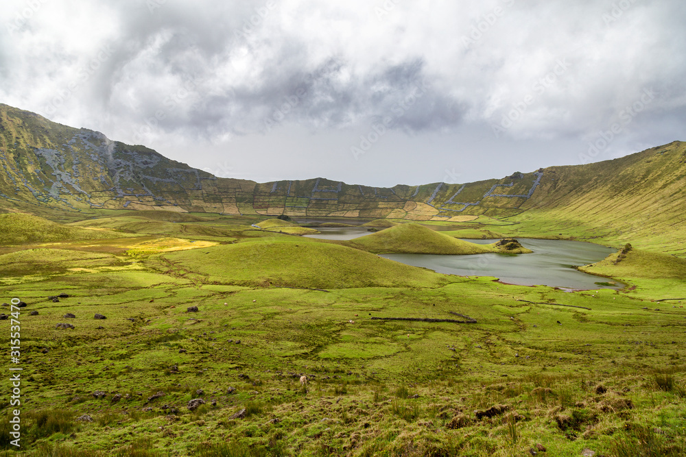 Cattle grazing in the distance in the Corvo Crater on the island of Corvo in the Azores, Portugal.