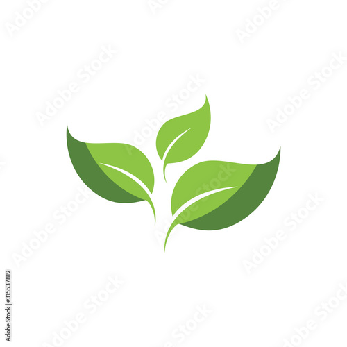 Logos of green Tree leaf ecology nature element