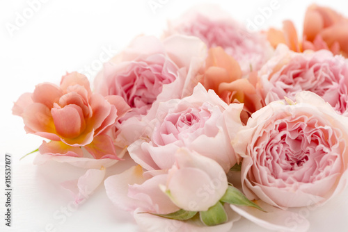 Fototapeta Naklejka Na Ścianę i Meble -  バラのブーケ