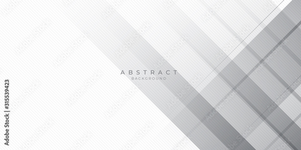 White Grey Silver Box Rectangle Abstract Background Vector Presentation Design White Grey Silver Box Rectangle Abstract Background Vector Presentation Design
