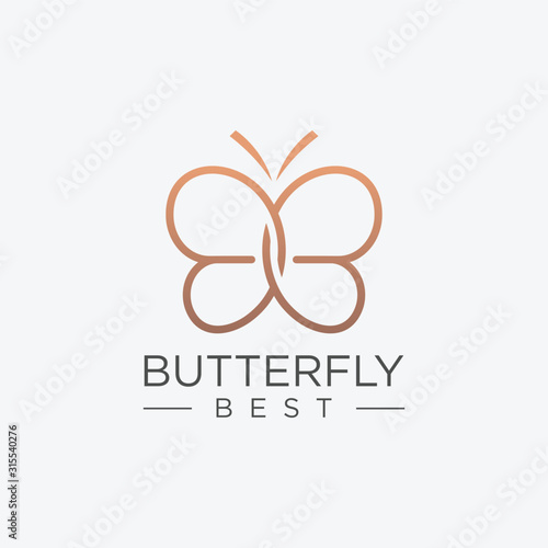 Initial letter BB with abstract butterfly element. minimalist line art monogram shape logo.Typography decorative icon with double letter b.Uppercase initials. Beauty, luxury spa style. - vector