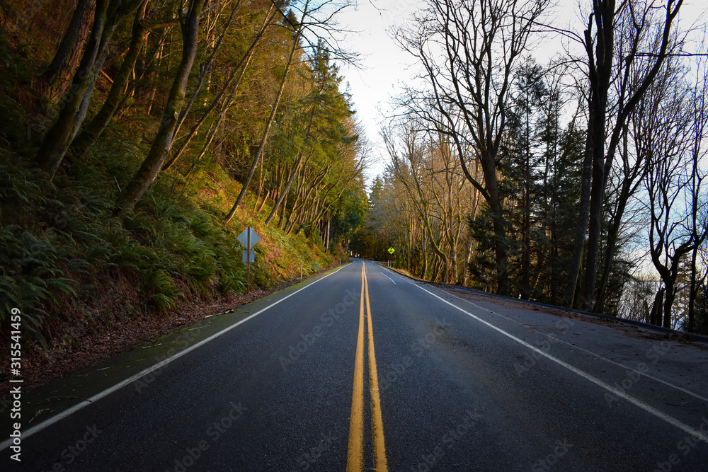 Fototapeta premium lonely road 2