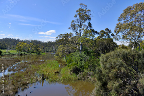 Принти на полотні Australia bushland habitat, found in New South Wales, Victoria and Tasmania, whe