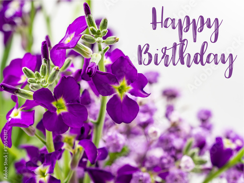 Happy Birthday with Gorgeous Purple Flowers