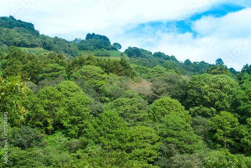  Panoramic view of mountains, forest area in Guatemala, sunny day and clear sky, source of oxygen and photosynthesis in action.