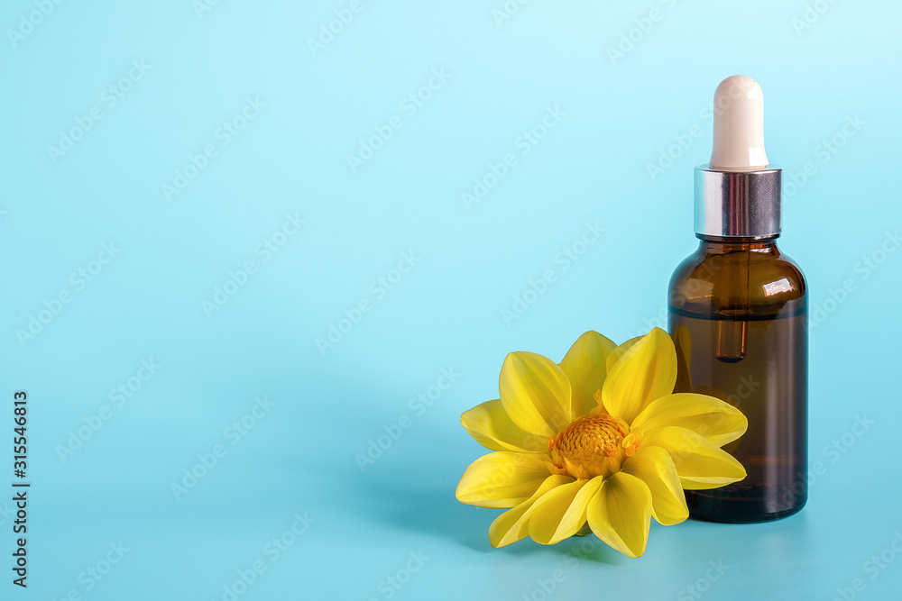 Essential oil in brown dropper bottle and yellow flower on blue background. Concept natural organic beauty cosmetics product. Copy space.