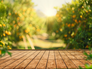 Empty wood table with free space over orange trees, orange field background. For product display montage