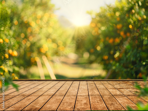 Fototapeta Naklejka Na Ścianę i Meble -  Empty wood table with free space over orange trees, orange field background. For product display montage