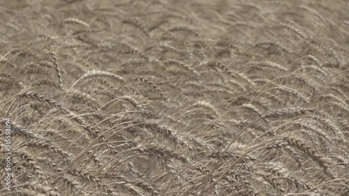 footprints in the sand