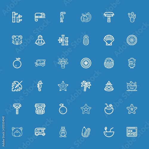 Editable 36 exotic icons for web and mobile