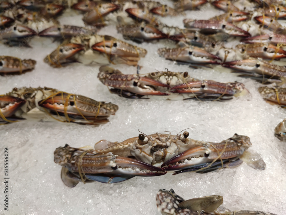 Fototapeta premium Fresh crab on ice in supermarket .