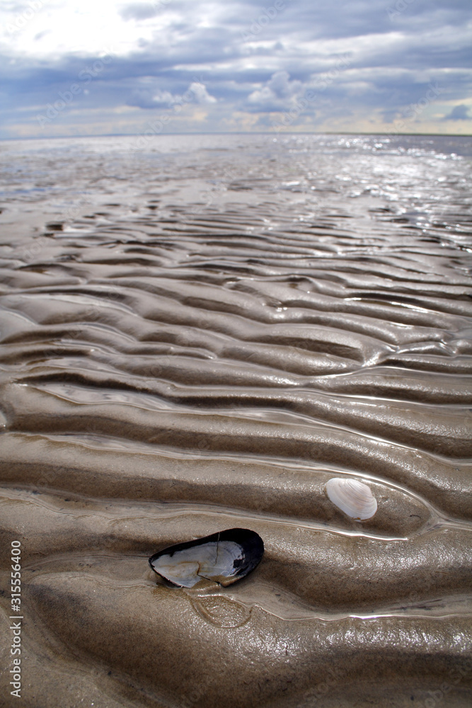Sand, water, sky and the endless distance at low tide on the White Sea Sand, water, sky and the endless distance at low tide on the White Sea