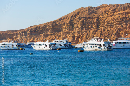 Harbor for tourist ships and diving boats for diving on coral reefs of Red Sea, Sharm el Sheikh, Egypt © mychadre77