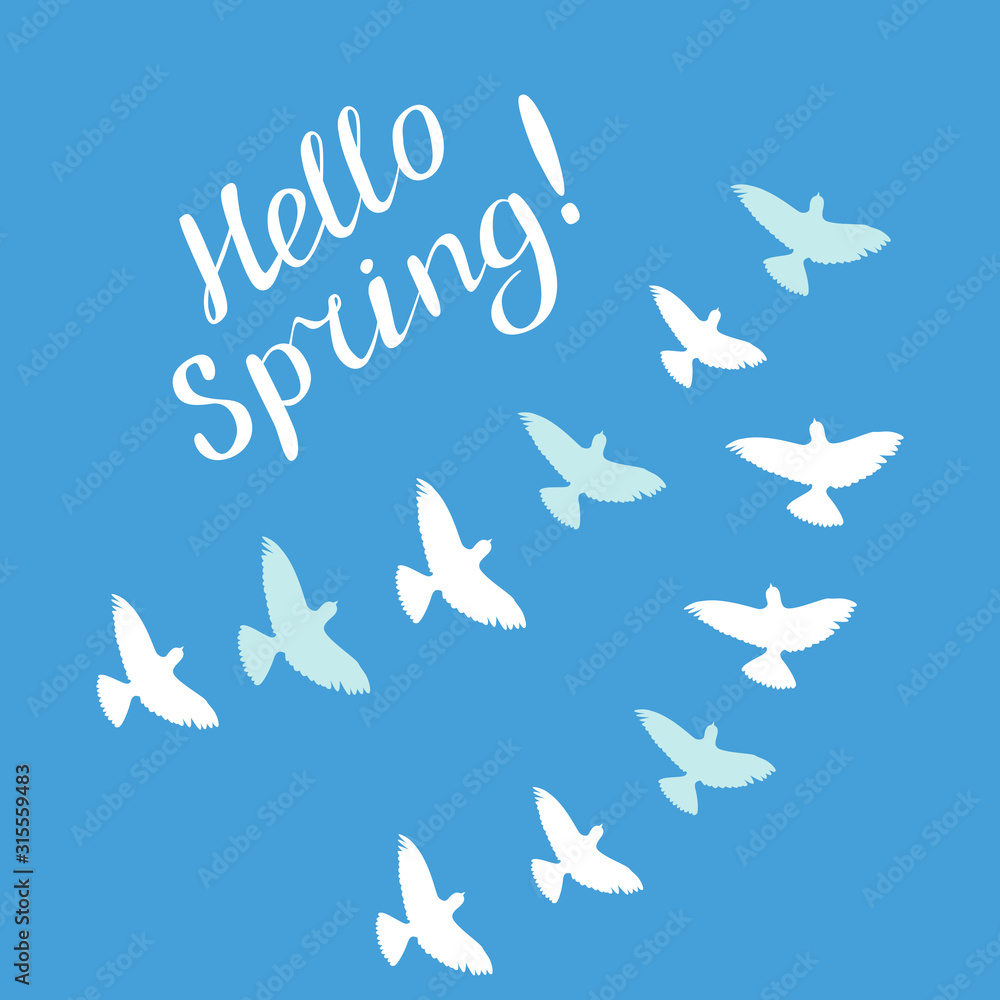 Hello spring! lettering and birds. Handwritten vector Illustration. Hello spring! lettering and birds. Handwritten vector Illustration.