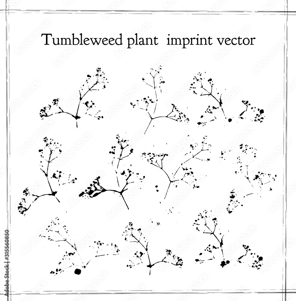 vector imprint of the branch flowers