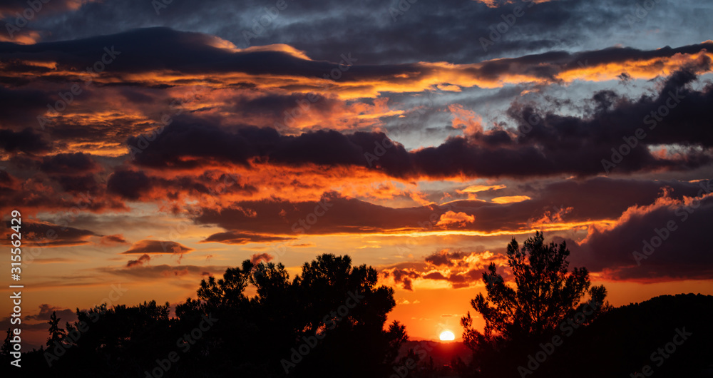 Fototapeta premium Sunrise, sunset through tree silhouette. Sunbeams paints with yellow and orange color the sky