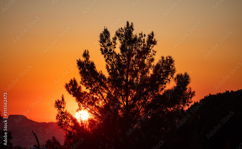 Sunrise, sunset through tree silhouette. Sunbeams paints with yellow and orange color the sky Sunrise, sunset through tree silhouette. Sunbeams paints with yellow and orange color the sky