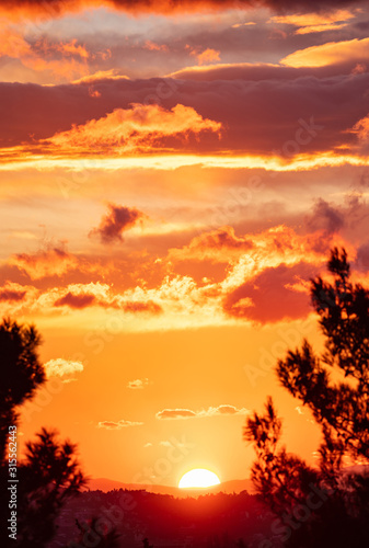 Fototapeta Naklejka Na Ścianę i Meble -  Sunrise, sunset through tree silhouette. Sunbeams paints with yellow and orange color the sky