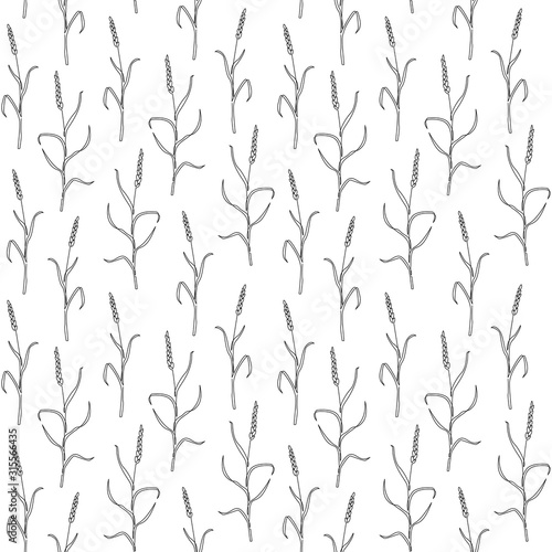 Fototapeta Naklejka Na Ścianę i Meble -  Vector seamless pattern with liner wheat, grain crop. Continuous line art. Perfect for branding, wrapping paper, textile