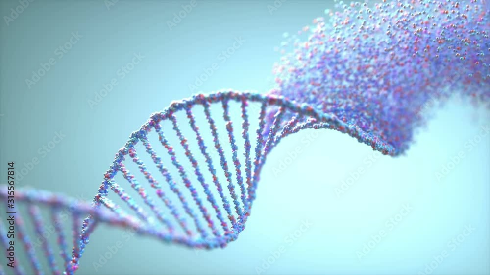 Formation of a molecular structure of the DNA genetic code.