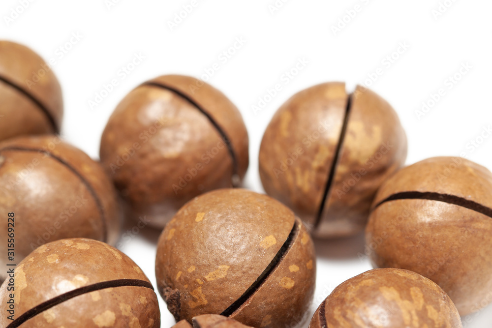 Bunch brown spotty shelled macadamia closeup down below with macro view isolated white background