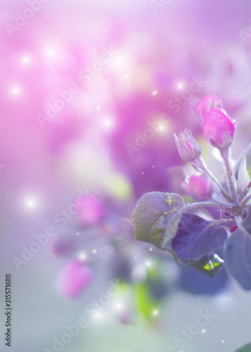 Delicate floral background with copy space under the text. Blurred background with spring flowers  bokeh. First flowers branch close-up