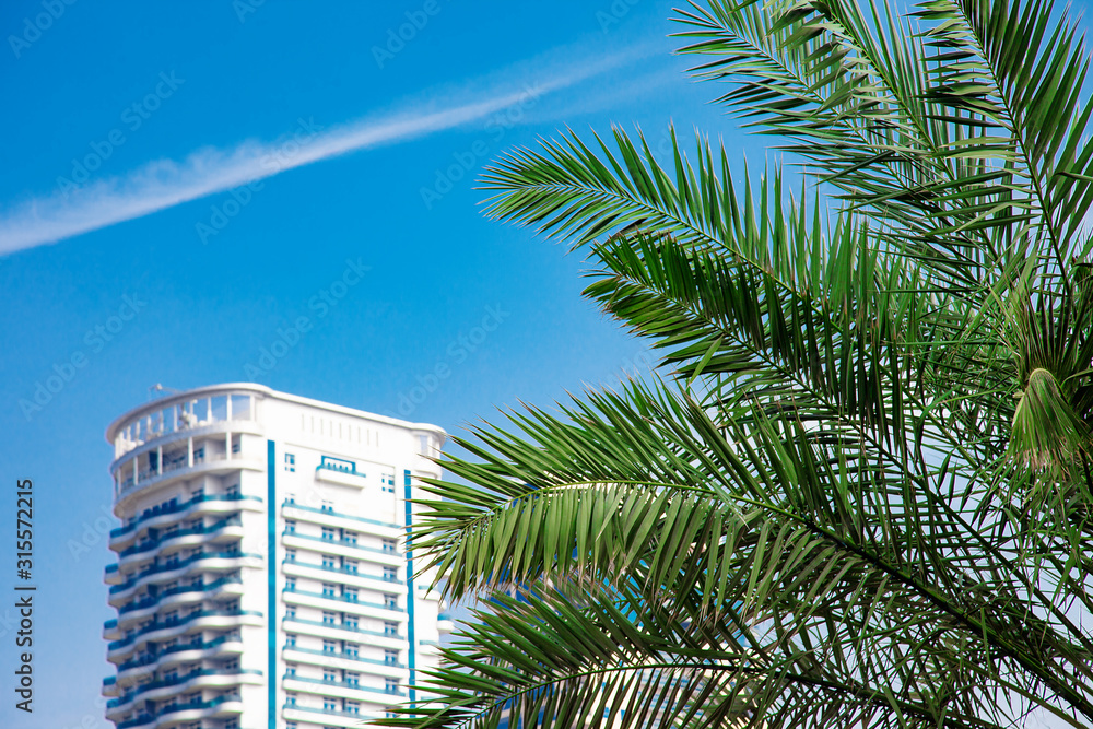 Green Palm Tree with Scyscraper Top on Blue Sky
