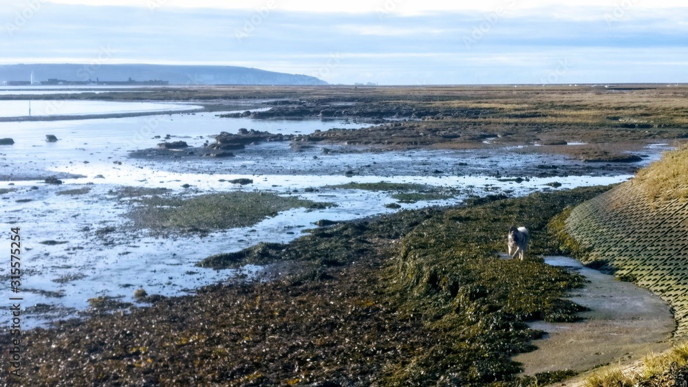 Kryhagen low tide