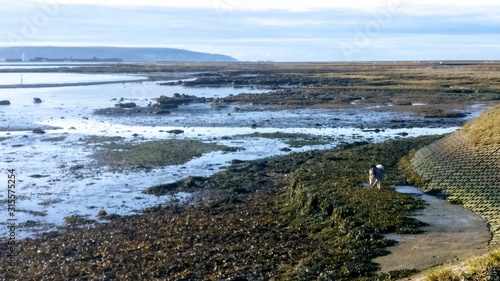 Kryhagen low tide