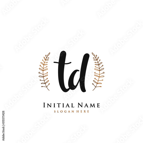 TD Initial handwriting logo vector 