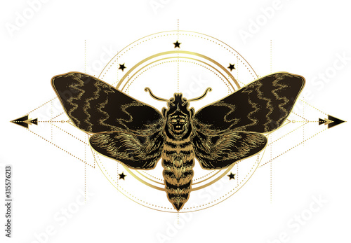 Golden moth over sacred geometry sign, isolated vector illustration. Tattoo flash. Mystical symbols and insects in gold. Alchemy, occultism, spirituality. Hand-drawn vintage.