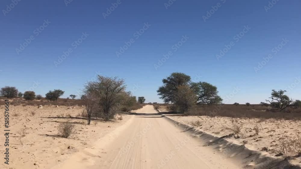POV driving in Kalahari Desert on sandy road and expansive blue sky POV driving in Kalahari Desert on sandy road and expansive blue sky
