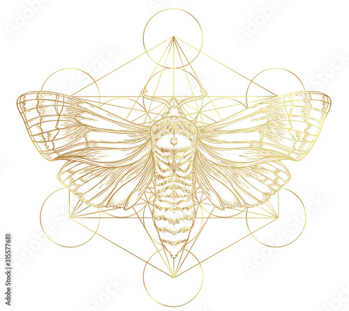 Fotografia, Obraz Golden moth over sacred geometry sign, isolated vector illustration